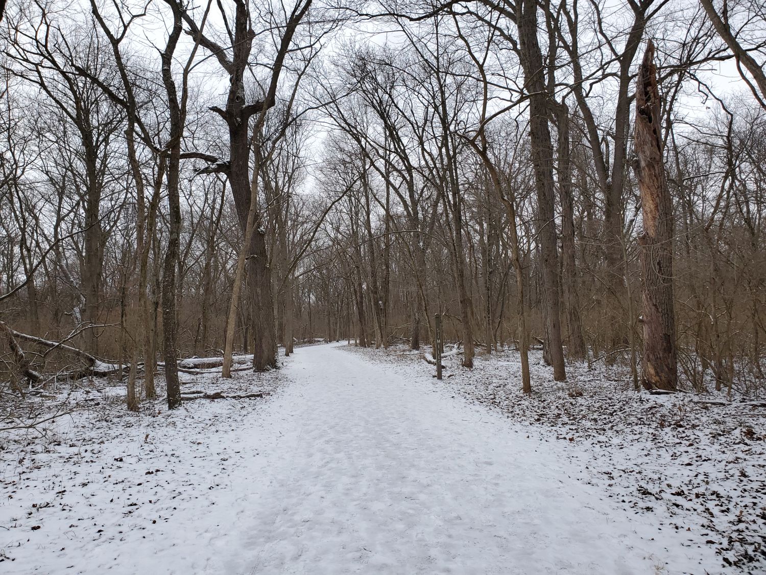 Kankakee River State Park 